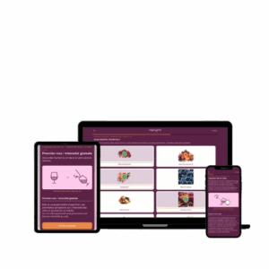 jeu sur le vin : vue de l'application