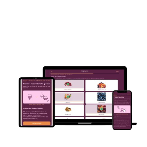 jeu sur le vin : vue de l'application