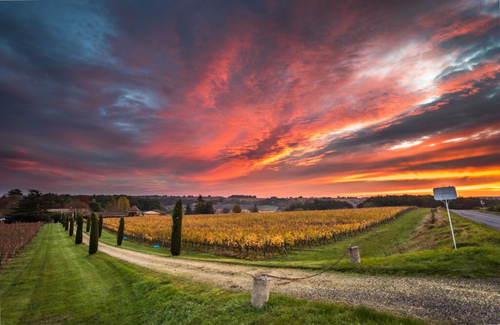 Martet-web-5691-scaled Château martet