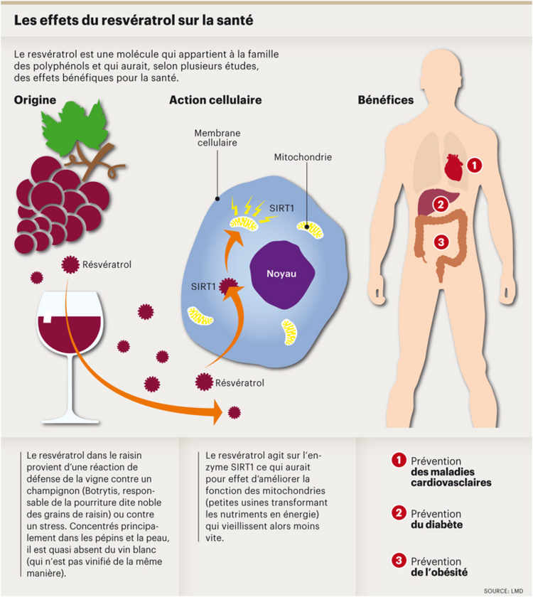 verre_jour_infog_ng_responsive_half santé du vin