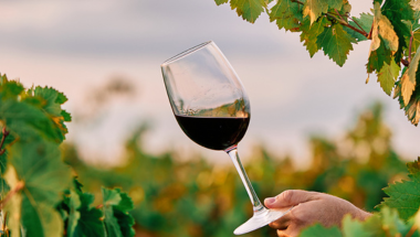 vin bio vs vin naturel