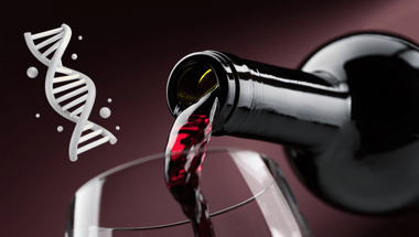 ADN du vin