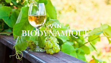 vin biodynamique