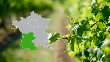 vins du Sud-Ouest