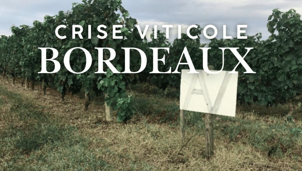 crise viticole bordeaux 2025