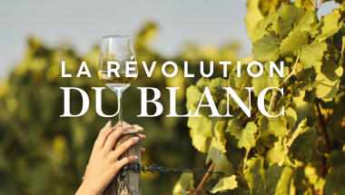 tendance vins blancs 2025