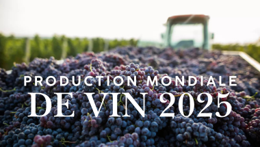 production mondiale de vin 2025