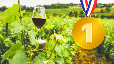 vin rouge (72) médailles de concours vin 2025
