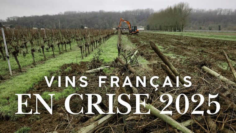vins français en crise 2025
