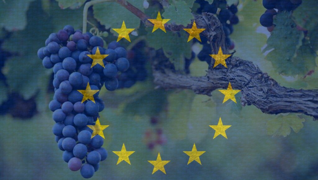 politique européenne