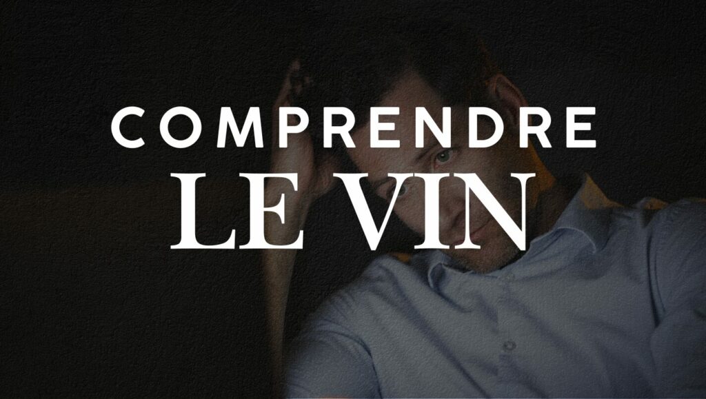 comprendre le vin