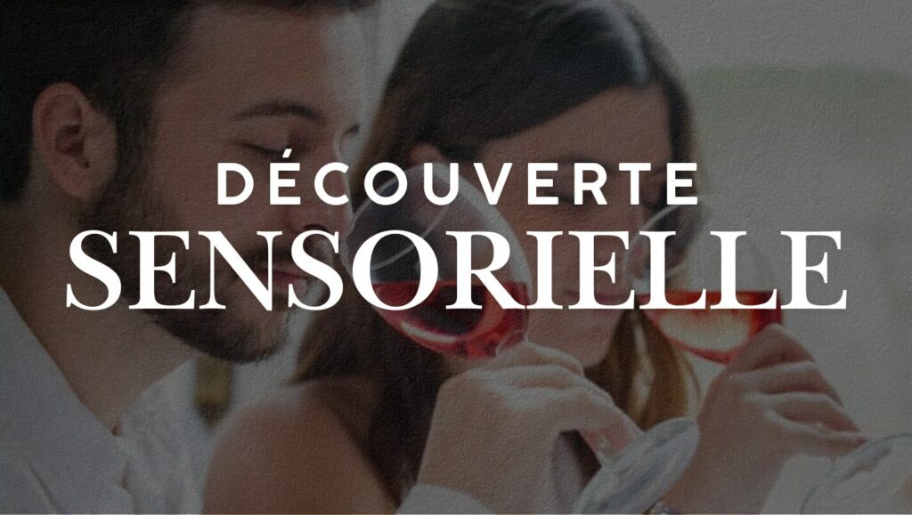 Découverte sensorielle du vin : une méthode émotionnel pour mieux comprendre en 2025