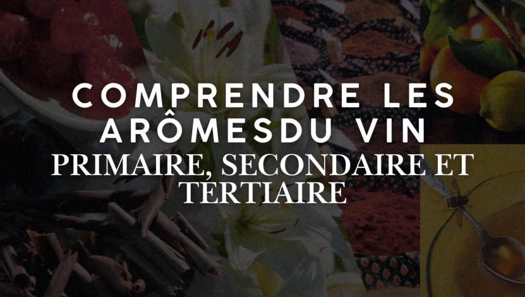 arômes du vin