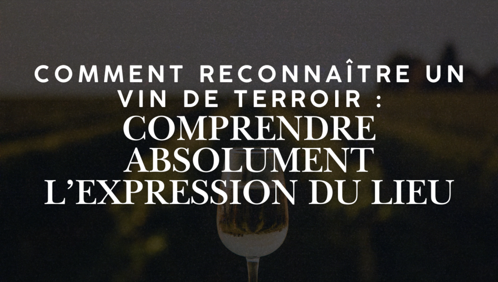 vin de terroir