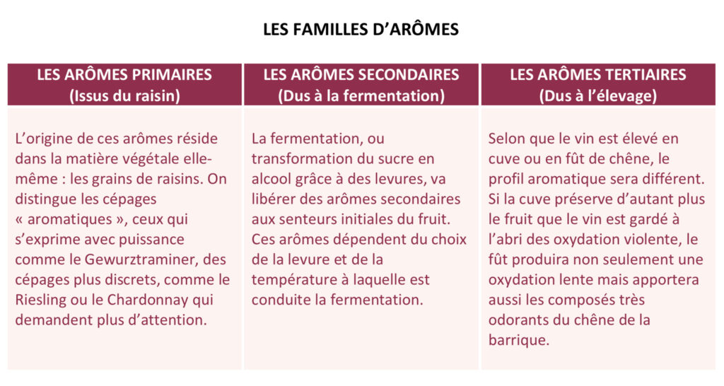 arômes du vin
