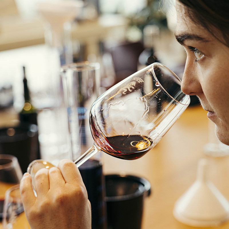 vin débutant