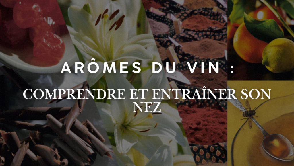 arômes du vin