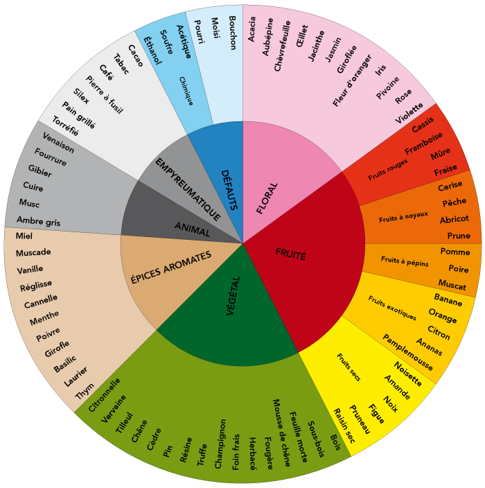arômes du vin